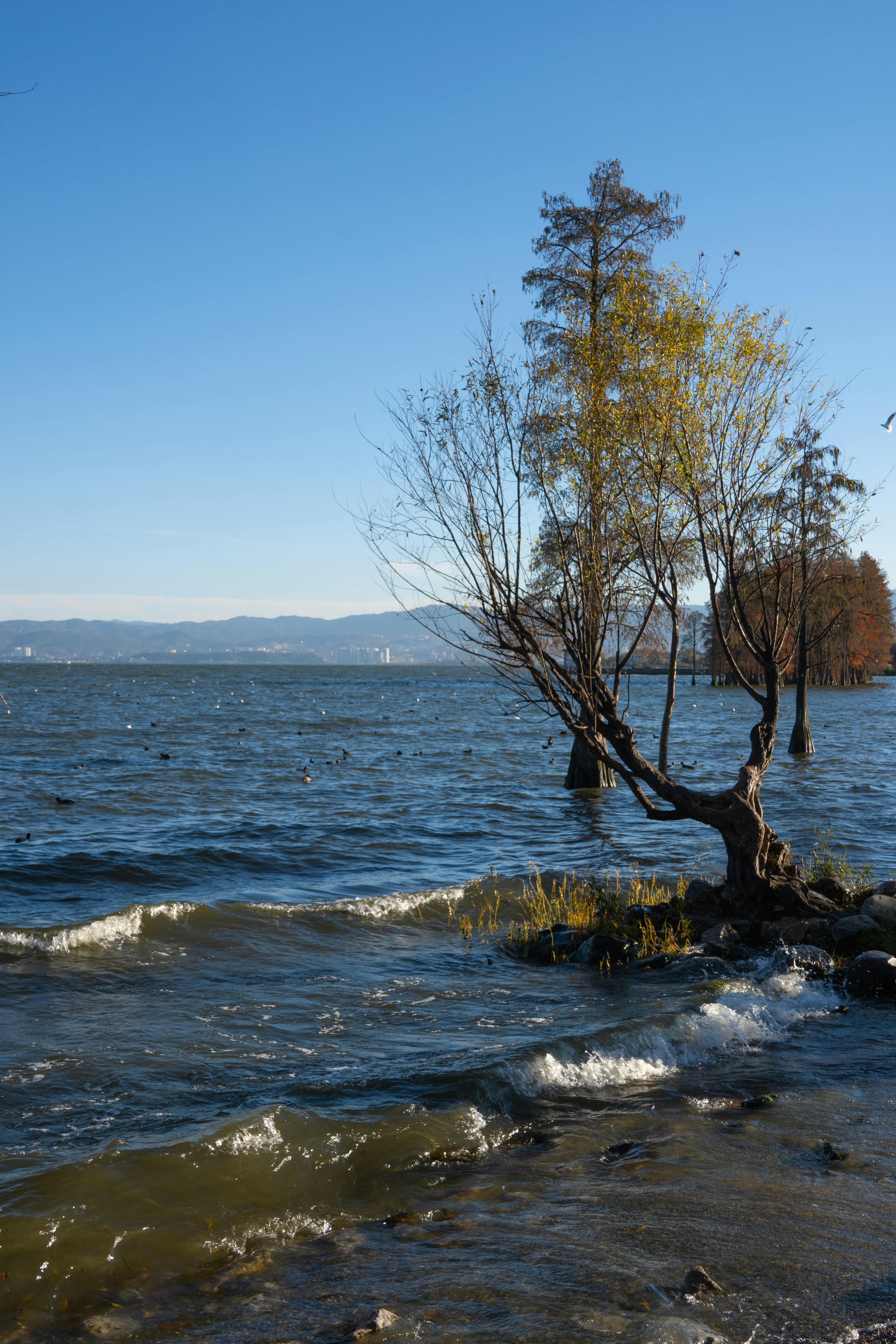 Tour Lệ Giang – Đại Lý – Shangrila (6 ngày 5 đêm) - Ảnh 6